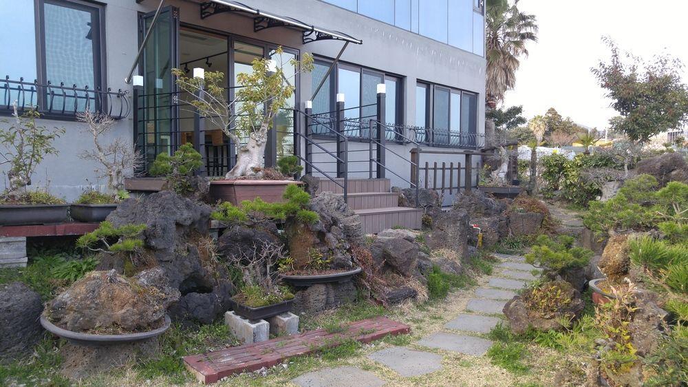 Olleyo Resort Seogwipo Eksteriør billede