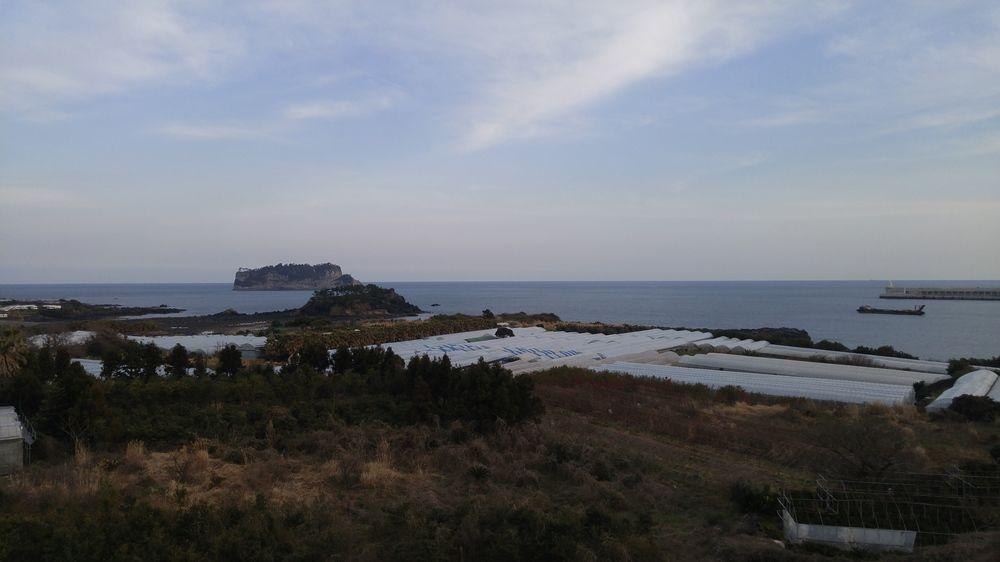 Olleyo Resort Seogwipo Eksteriør billede