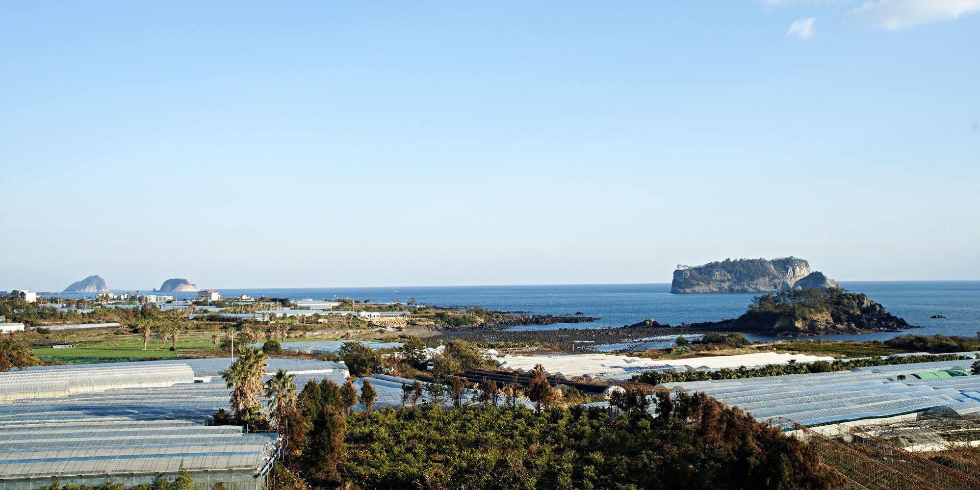 Olleyo Resort Seogwipo Eksteriør billede